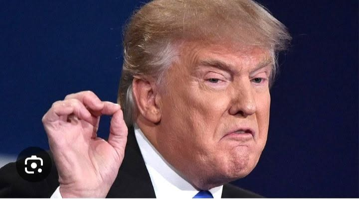 L’IPOCRISIA DI TRUMP, I 7.000 CONTAINER E LA DONAZIONE INFESTATA DA VERMI
