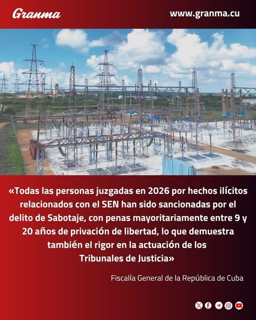 Sobre los ilícitos relacionados con el SEN, Sistema Electroenergético Nacional